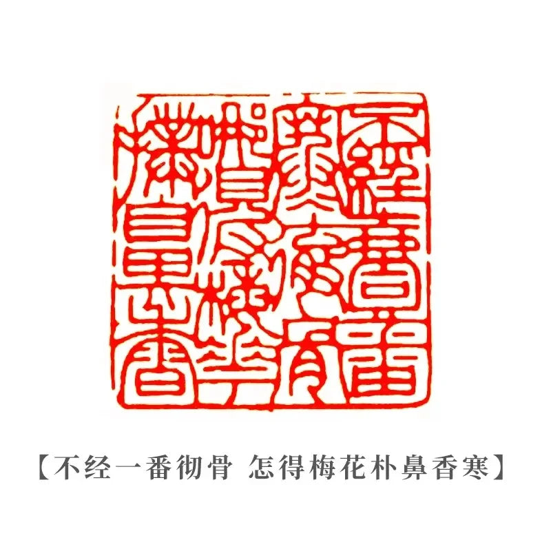 Shoushan Stone Custom Stamp Seal – Personalized Name & Poetry