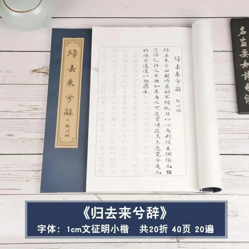 Regular Script Calligraphy Copybook – Shou Jinti Practice