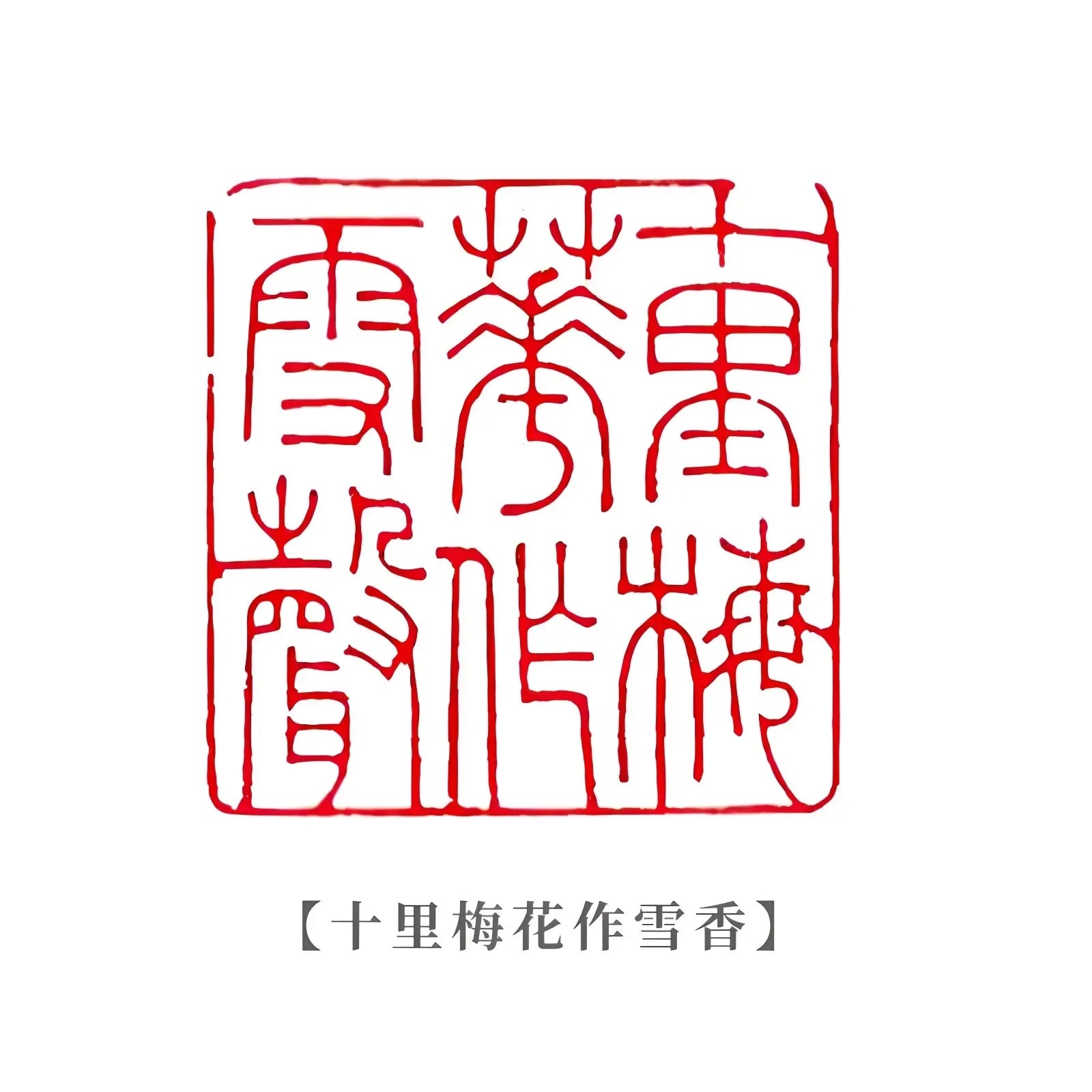 Shoushan Stone Custom Stamp Seal – Personalized Name & Poetry
