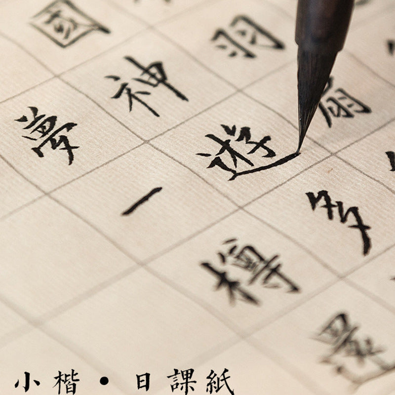 Chinese Calligraphy Beginner Practice Sheets – Antique-Style Semi-Sized texture detail - Chinese Xuan Paper by Generic