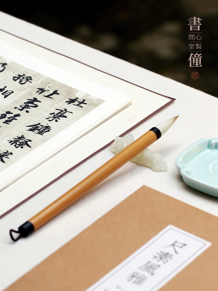 Chinese Calligraphy Brush for Copybook Practice – Beginner Essential close-up detail - Chinese Calligraphy Brushes by