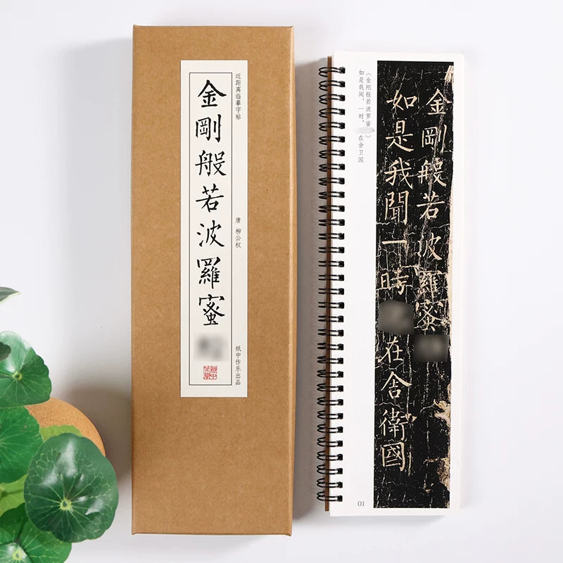 Liu Gongquan Diamond Sutra Regular Script Calligraphy Copybook packaging - Calligraphy Copybook by Generic