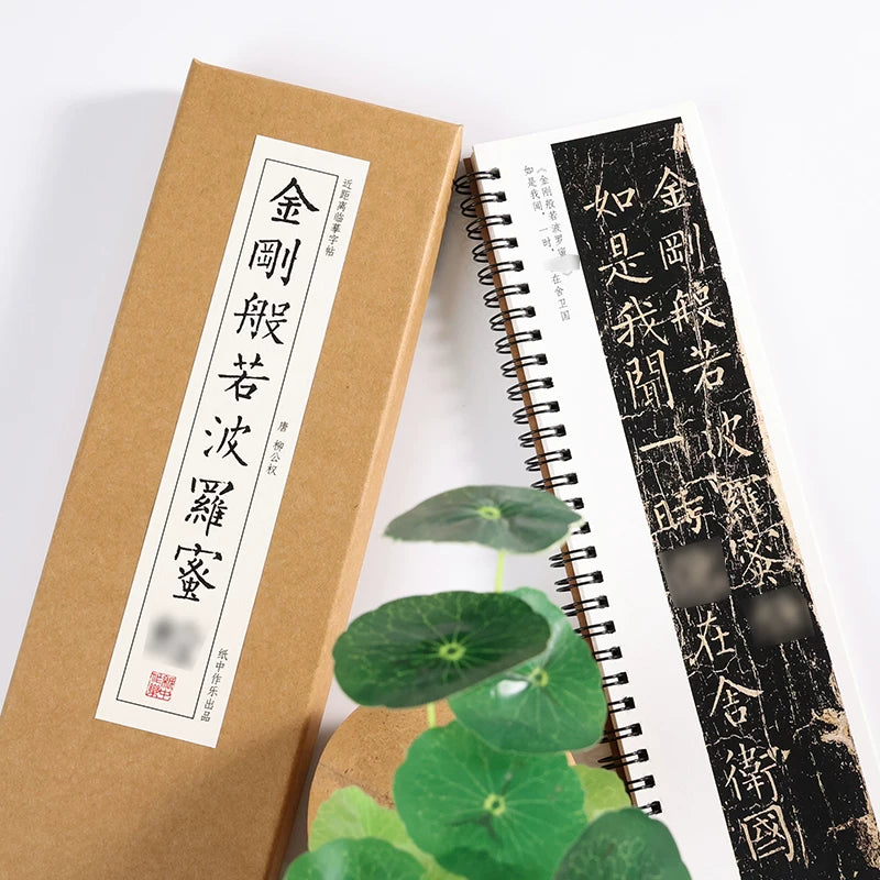 Liu Gongquan Diamond Sutra Regular Script Calligraphy Copybook texture detail - Calligraphy Copybook by Generic