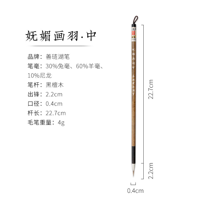 Shanlian Hubi Chinese Calligraphy & Painting Brushes for beginner and artist packaging - Chinese Calligraphy Brushes by