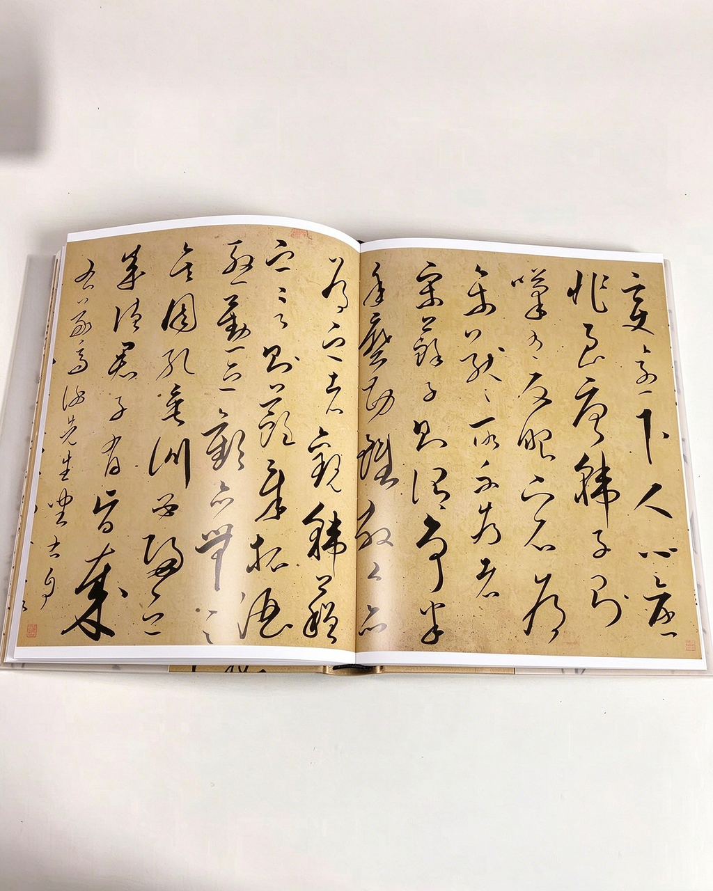 The Art of Handwriting - Chinese Characters II texture detail - Chinese Calligraphy Copybooks by Generic