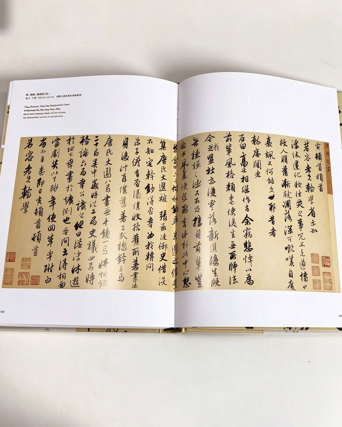 The Art of Handwriting - Chinese Characters II packaging - Chinese Calligraphy Copybooks by Generic