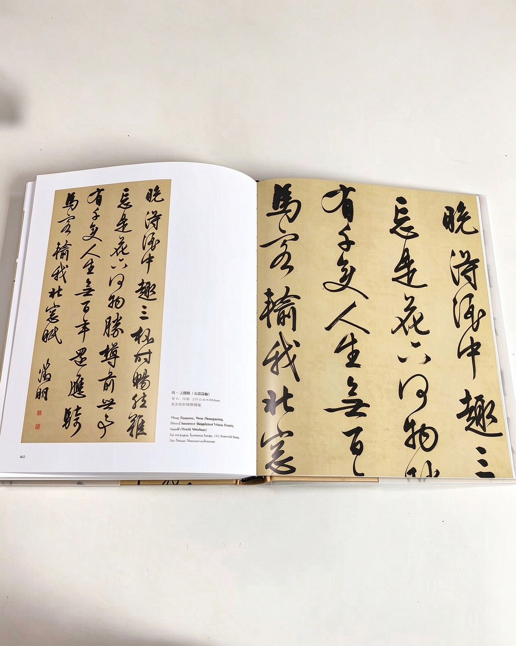 The Art of Handwriting - Chinese Characters II side view - Chinese Calligraphy Copybooks by Generic