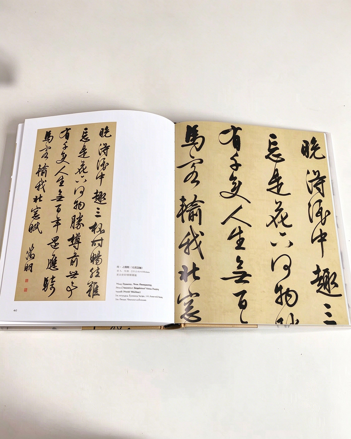 The Art of Handwriting - Chinese Characters II side view - Chinese Calligraphy Copybooks by Generic