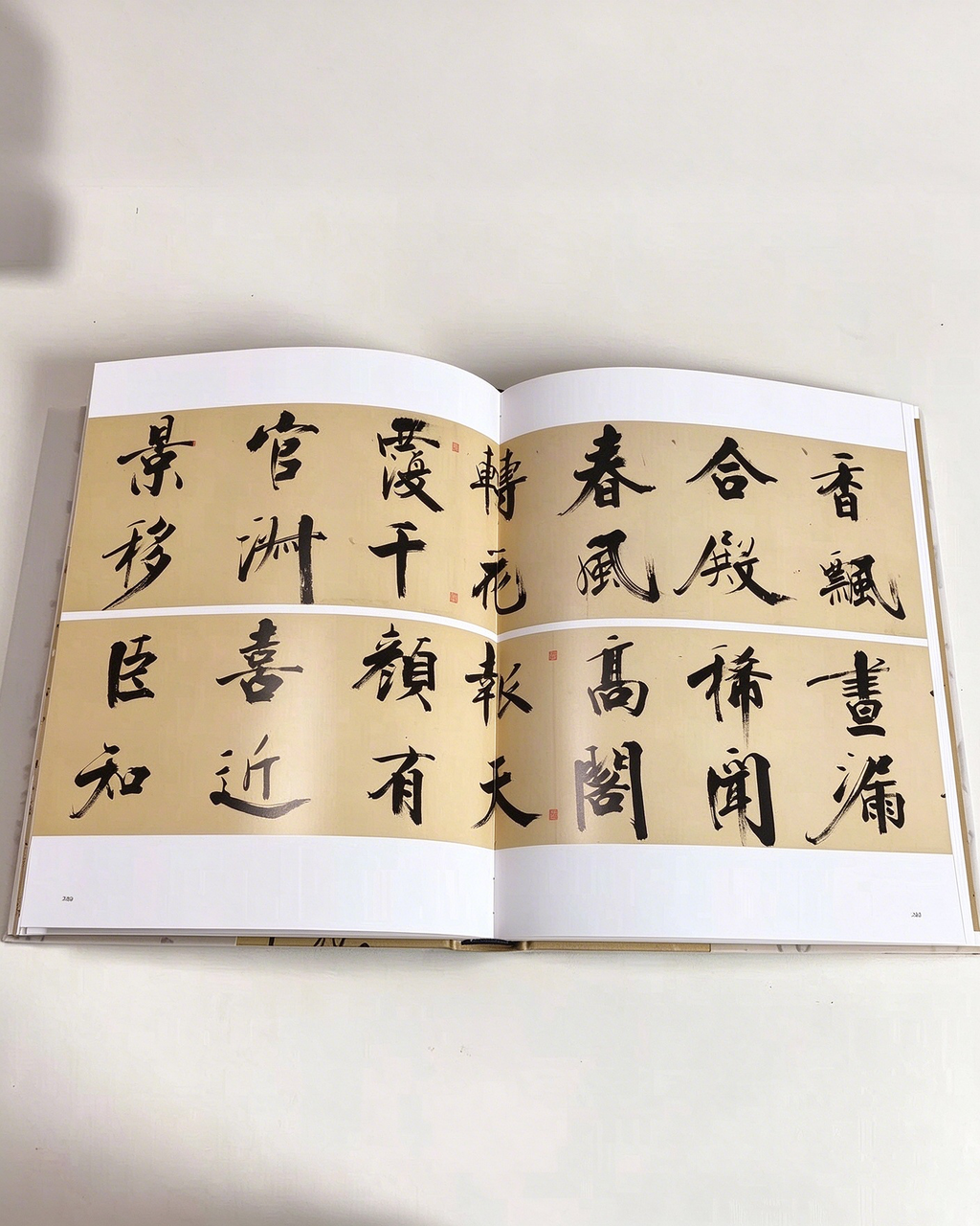 The Art of Handwriting - Chinese Characters II side view - Chinese Calligraphy Copybooks by Generic