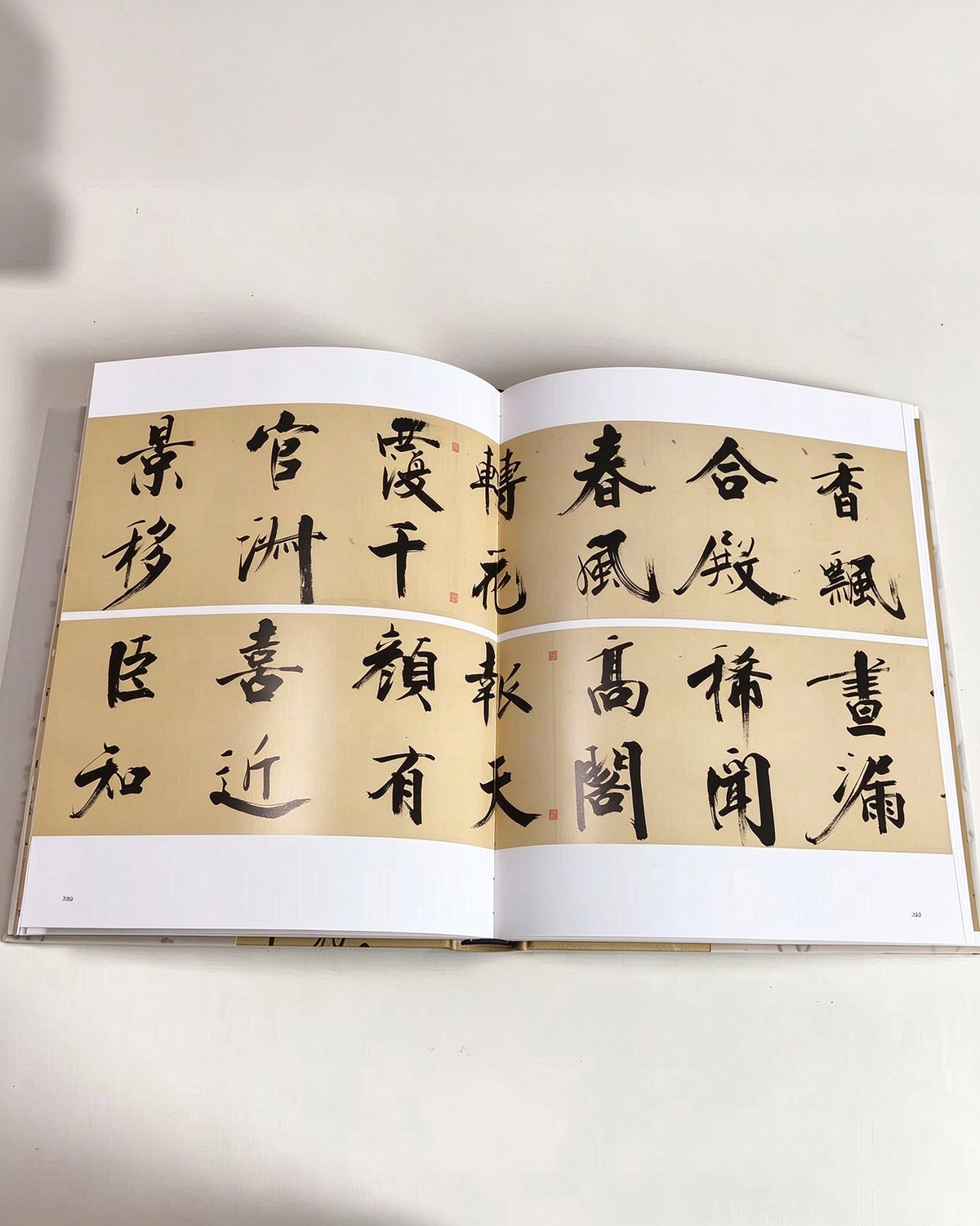 The Art of Handwriting - Chinese Characters II side view - Chinese Calligraphy Copybooks by Generic