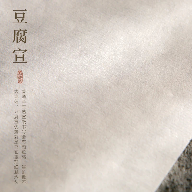 Tofu Xuan Paper, Semi-Sized Chinese Calligraphy Paper close-up detail - Xuan Paper by Yiji Xuan (义记宣)